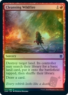 Cleansing Wildfire